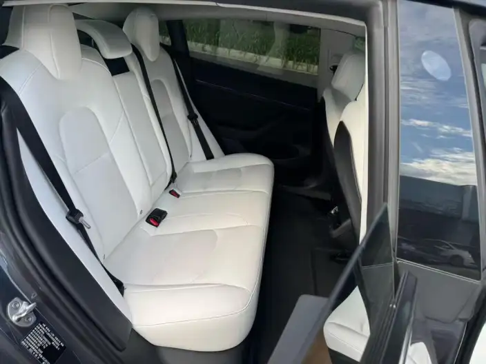 Model 3 2022 Model Rear-wheel drive version – фото 9