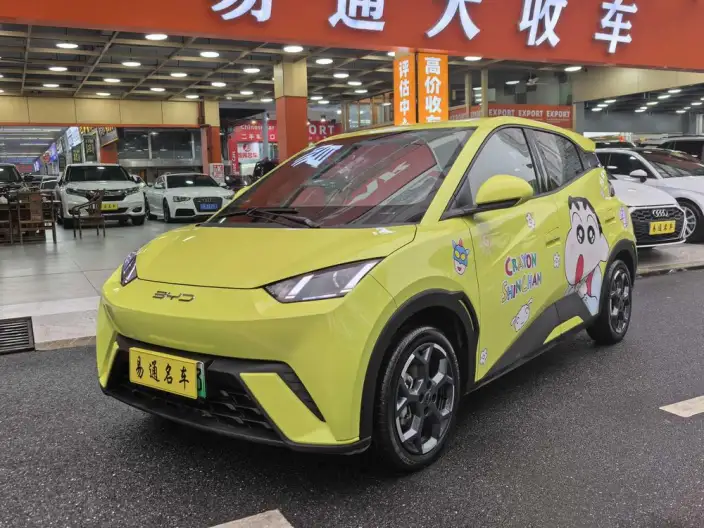 BYD Seagull 2024 Model Honor Edition 305KM Vitality Edition – фото 1