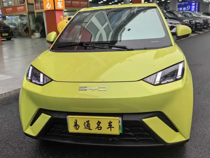 BYD Seagull 2024 Model Honor Edition 305KM Vitality Edition – фото 2