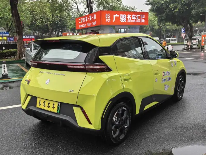 BYD Seagull 2024 Model Honor Edition 305KM Vitality Edition – фото 6