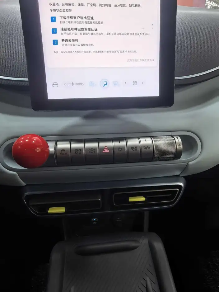 BYD Seagull 2024 Model Honor Edition 305KM Vitality Edition – фото 8