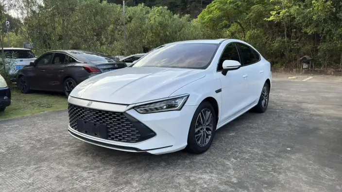 BYD Qin PLUS DM 2021 Model DM-i 55KM Flagship Model – фото 1