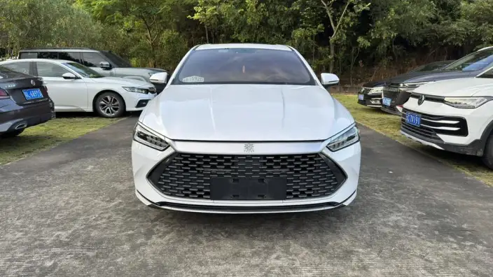 BYD Qin PLUS DM 2021 Model DM-i 55KM Flagship Model – фото 2