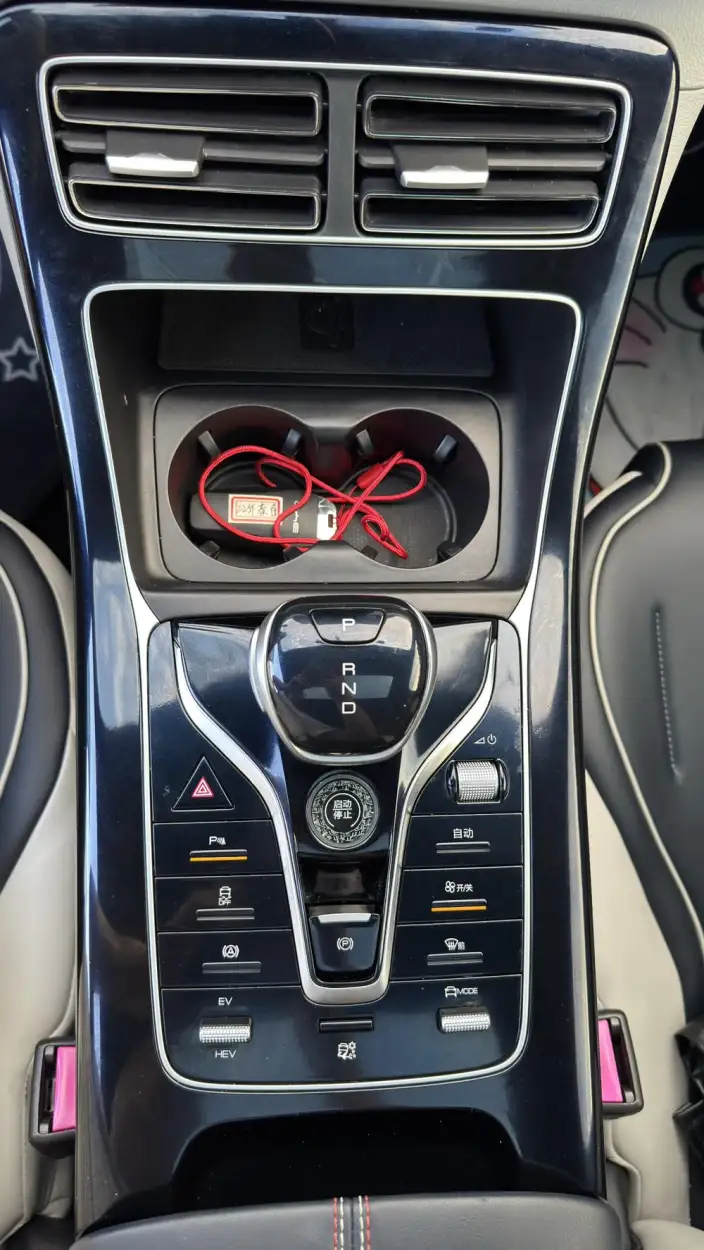 BYD Qin PLUS DM 2021 Model DM-i 55KM Flagship Model – фото 10