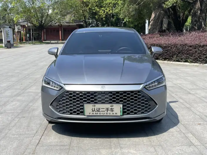 BYD Qin PLUS DM 2024 Model Honor Edition DM-i 55KM Leading Model – фото 2