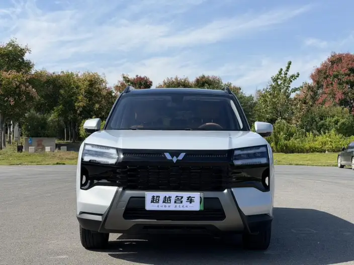Xingguang 560 PHEV 2026 Model 125km Luxury Model – фото 2