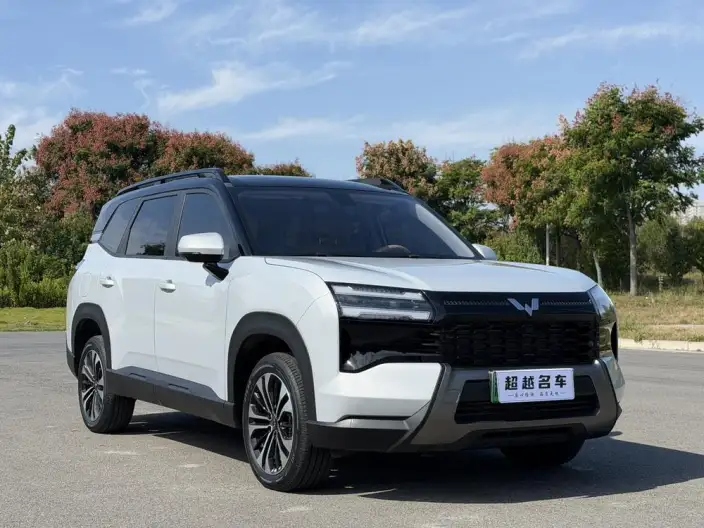 Xingguang 560 PHEV 2026 Model 125km Luxury Model – фото 3