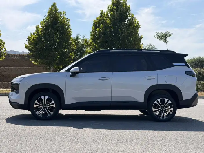 Xingguang 560 PHEV 2026 Model 125km Luxury Model – фото 4