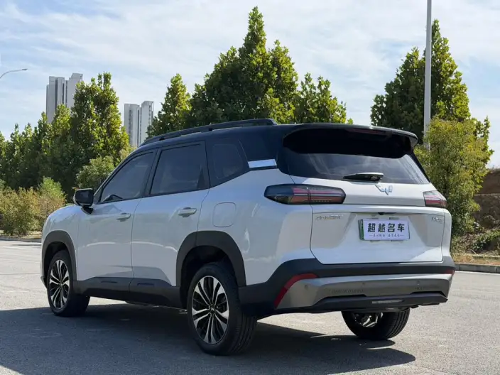 Xingguang 560 PHEV 2026 Model 125km Luxury Model – фото 5