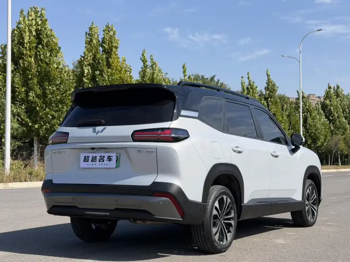 Xingguang 560 PHEV 2026 Model 125km Luxury Model – фото 7