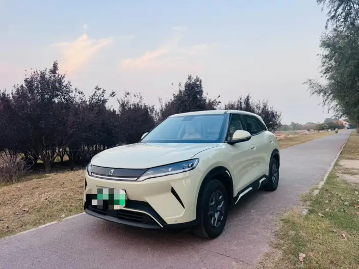 Yuan UP 2025 Model 301KM Pilot Model – фото 1
