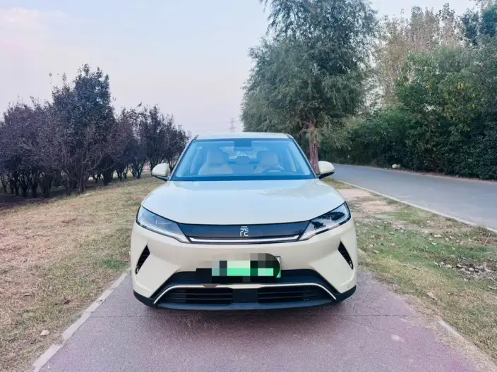 Yuan UP 2025 Model 301KM Pilot Model – фото 2