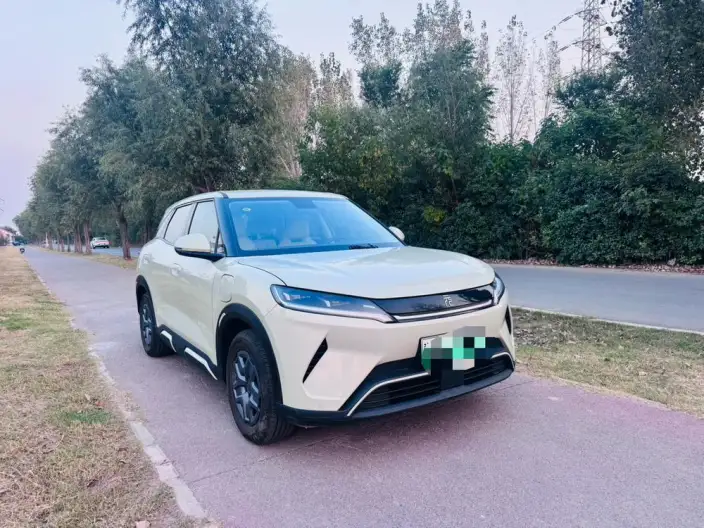 Yuan UP 2025 Model 301KM Pilot Model – фото 3