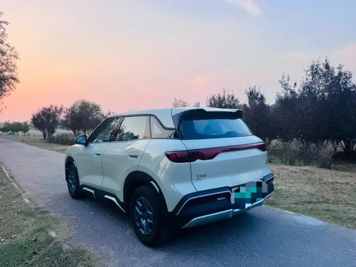Yuan UP 2025 Model 301KM Pilot Model – фото 4