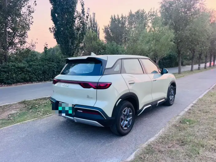Yuan UP 2025 Model 301KM Pilot Model – фото 6