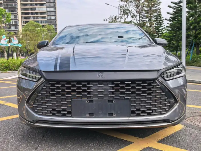 BYD Qin PLUS DM 2024 Model Honor Edition DM-i 55KM Leading Model – фото 2