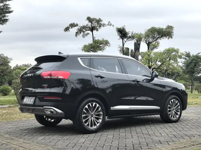 Haval H6 2020 Model 1.5GDIT Automatic Platinum Champion Edition – фото 7
