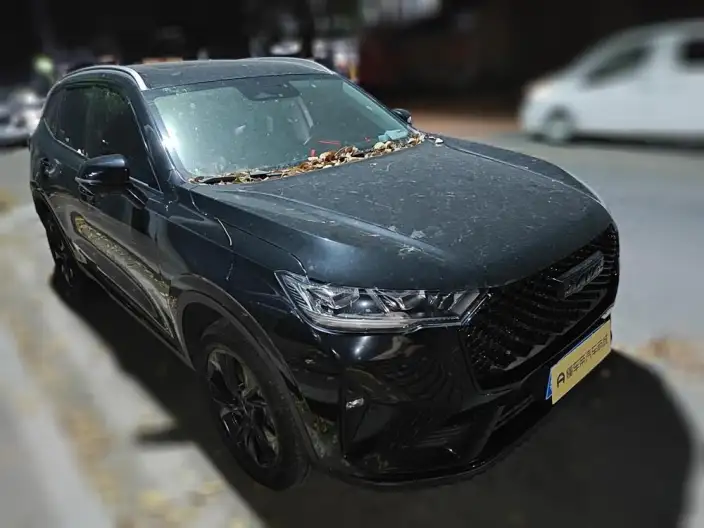 Haval H6 2021 Model Third generation 2.0T Automatic 2WD Max Edition – фото 3