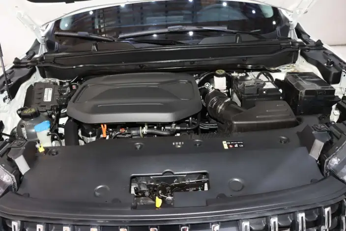 Haval Chitu 2023 Model 1.5T Enterprising Model – фото 8
