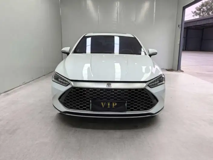 BYD Qin PLUS DM 2021 Model DM-i 55KM Flagship Model – фото 2