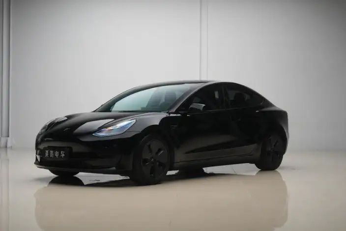 Model 3 2022 Model Rear-wheel drive version