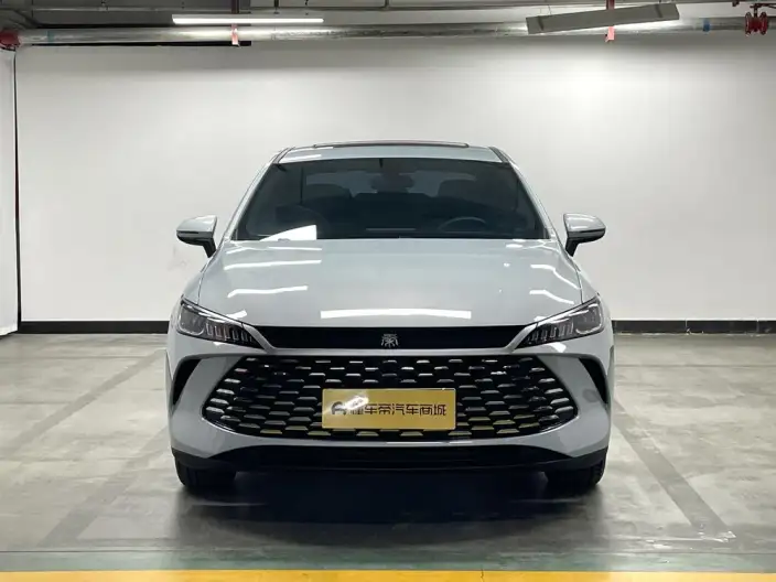 BYD Qin PLUS DM 2026 Model DM-i 210KM Enterprising Model – фото 2