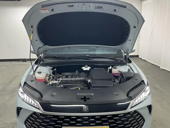 BYD Qin PLUS DM 2026 Model DM-i 210KM Enterprising Model – фото 10