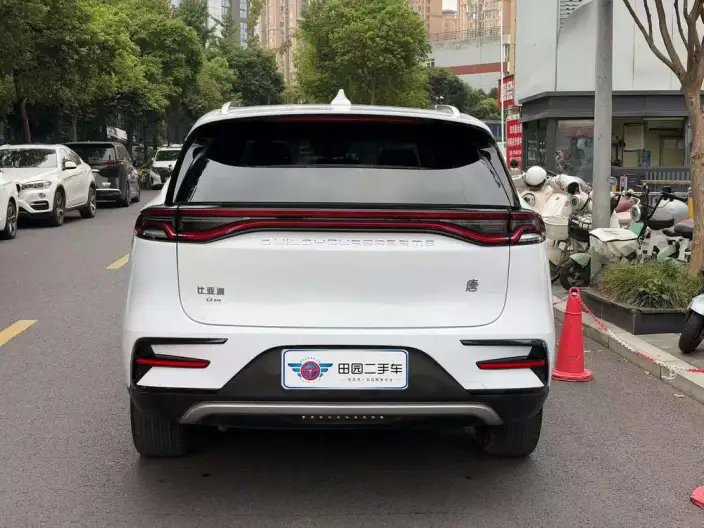 BYD Tang DM 2021 Model DM-i 1.5T 112KM Noble Model – фото 5