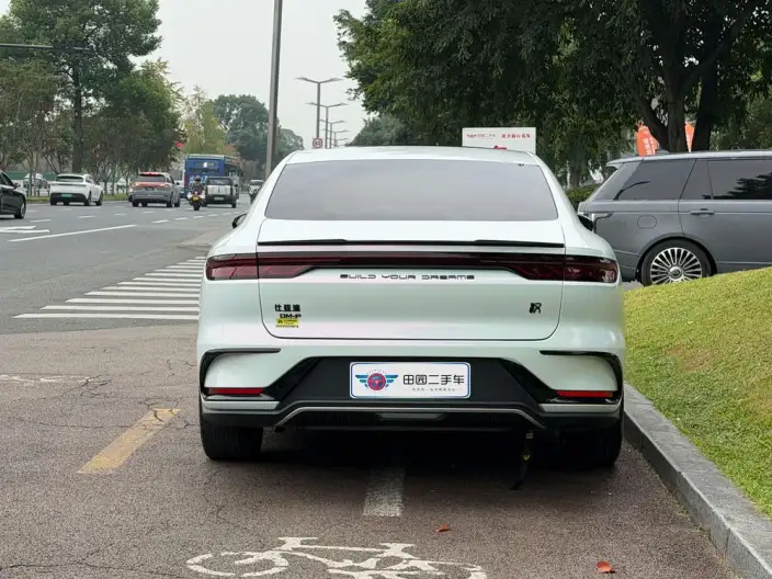 BYD Han DM 2023 Model DM-i Champion Edition 121KM Exclusive Model – фото 5