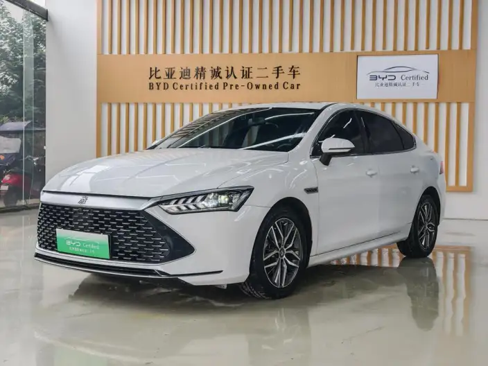 BYD Qin PLUS DM 2021 Model DM-i 55KM Flagship Model – фото 1