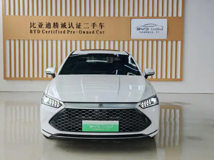 BYD Qin PLUS DM 2021 Model DM-i 55KM Flagship Model – фото 2