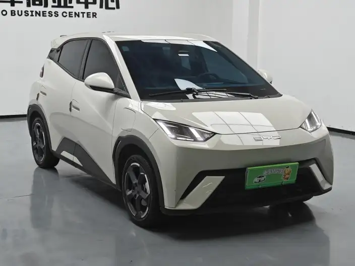 BYD Seagull 2023 Model Feixiang Edition – фото 3