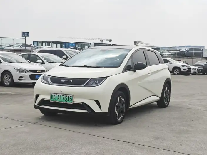 BYD Dolphin 2021 Model Free Edition – фото 1