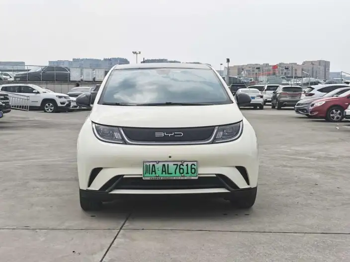 BYD Dolphin 2021 Model Free Edition – фото 2
