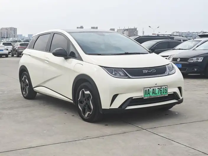BYD Dolphin 2021 Model Free Edition – фото 3