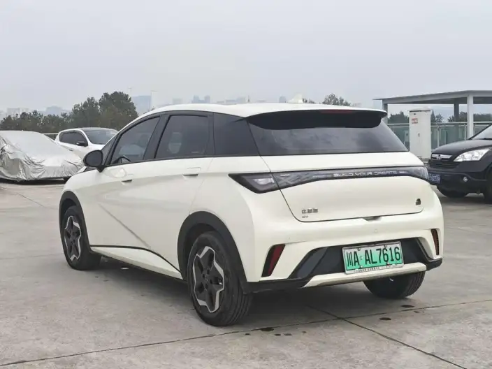 BYD Dolphin 2021 Model Free Edition – фото 4