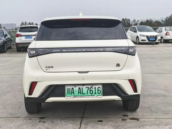 BYD Dolphin 2021 Model Free Edition – фото 5