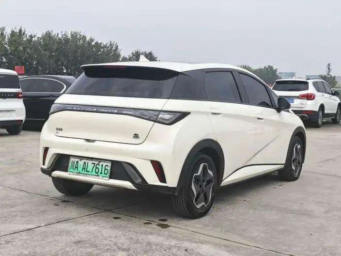 BYD Dolphin 2021 Model Free Edition – фото 6