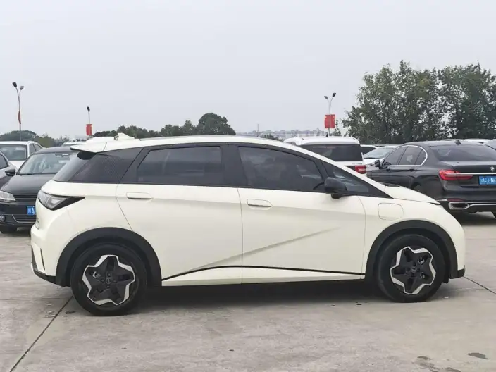 BYD Dolphin 2021 Model Free Edition – фото 7
