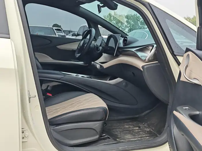 BYD Dolphin 2021 Model Free Edition – фото 8