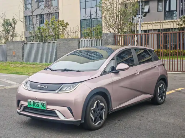 BYD Dolphin 2021 Model Free Edition – фото 1