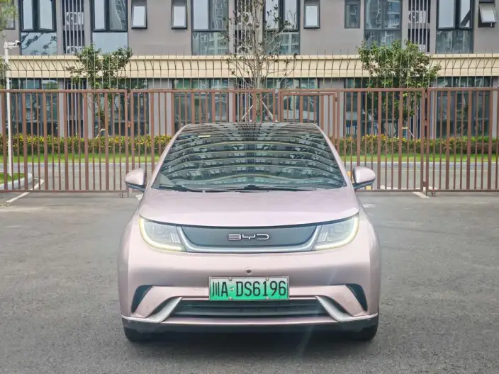 BYD Dolphin 2021 Model Free Edition – фото 2