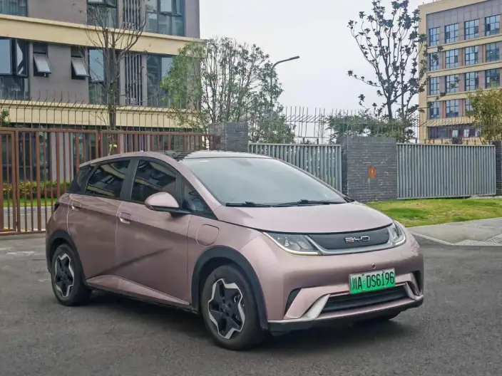 BYD Dolphin 2021 Model Free Edition – фото 3