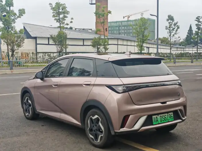 BYD Dolphin 2021 Model Free Edition – фото 4