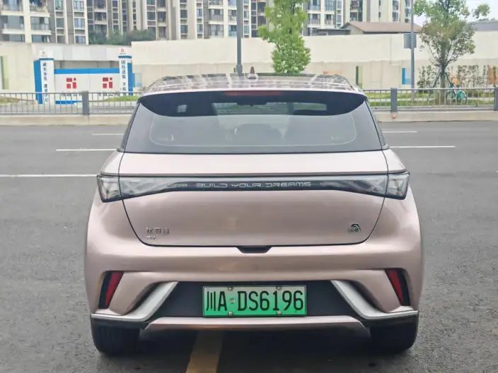 BYD Dolphin 2021 Model Free Edition – фото 5