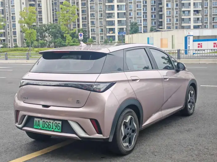 BYD Dolphin 2021 Model Free Edition – фото 6