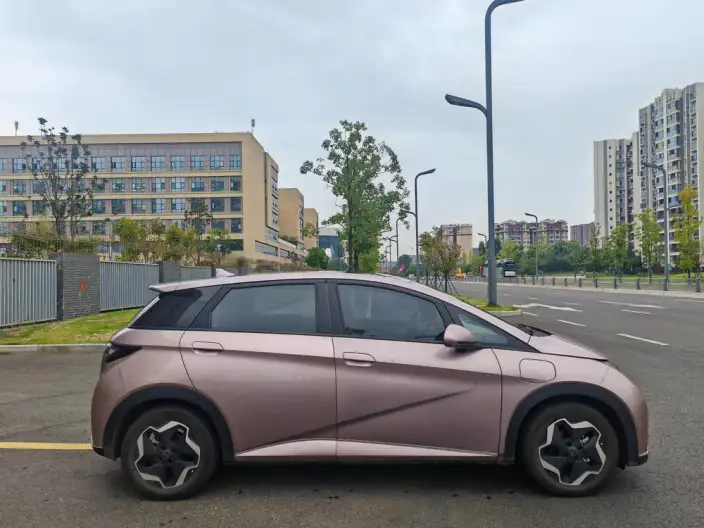 BYD Dolphin 2021 Model Free Edition – фото 7