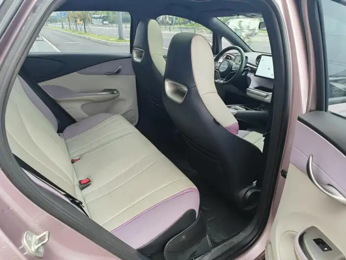 BYD Dolphin 2021 Model Free Edition – фото 8