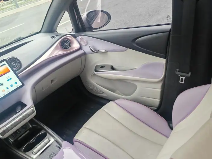 BYD Dolphin 2021 Model Free Edition – фото 9