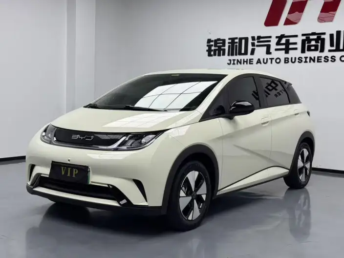 BYD Dolphin 2024 Model Honor Edition 420km Free Edition – фото 1